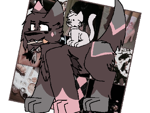 Trying out Moodboard designing 