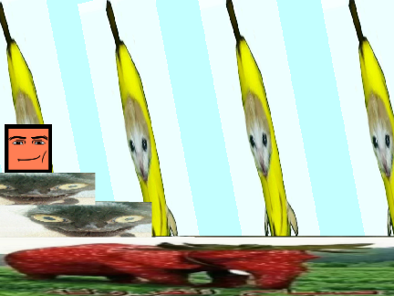 meme.