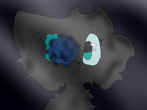 Gift for 696177