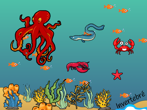 Projet de Science - L'ocean Pacifique