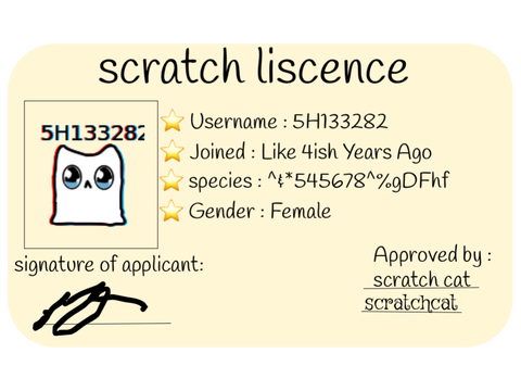 5H133282's License.