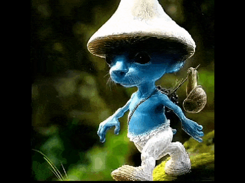smurf cat