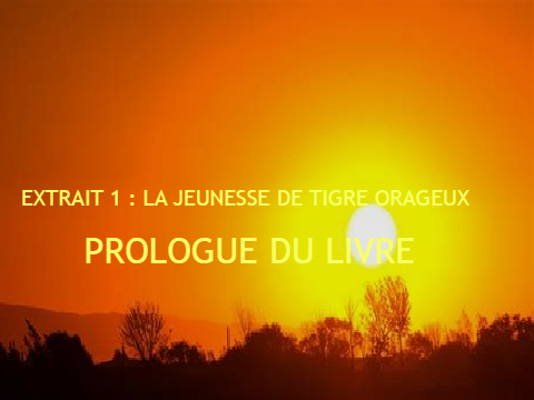 Extrait 1 _La Jeunesse de Tigre Orageux_ (ANNULE)