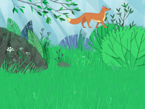 Hide and Seek