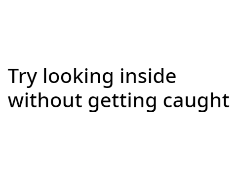 See Inside without getting caught
