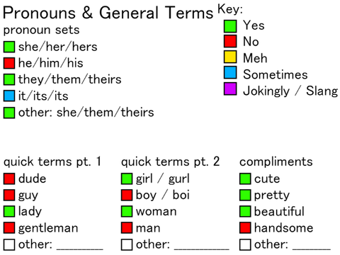 Terms & Pronouns Sheet remix