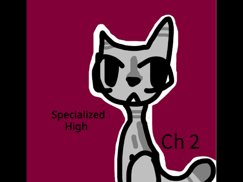 Specialized High Ch 2