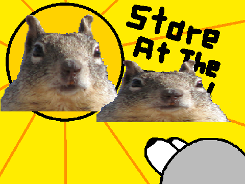 Stare At The Squirrel
