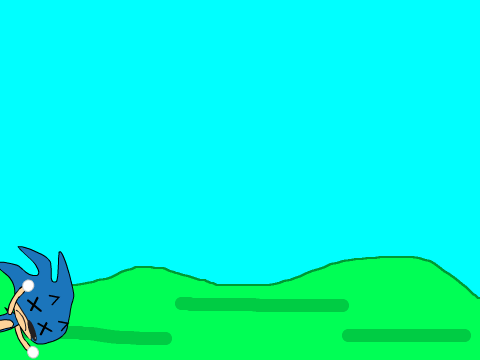 SANIC RUN