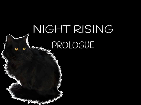 Night Rising: Prologue (Contest Entry)