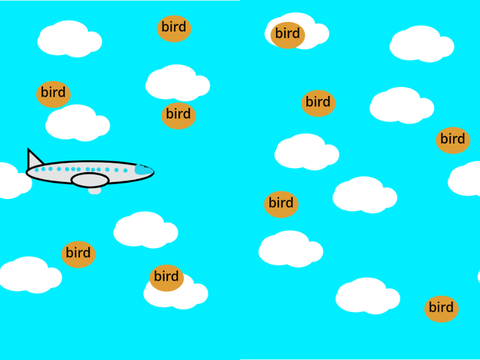 Dont get bird striked