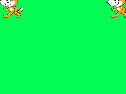 cat pattern