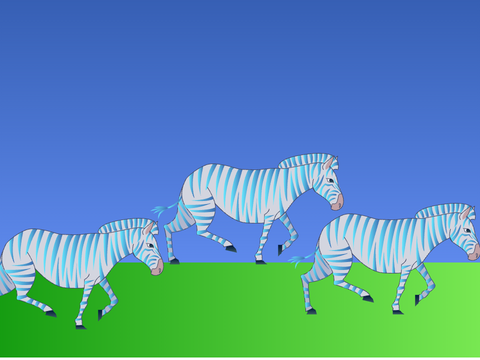 Zebra Paralax 3