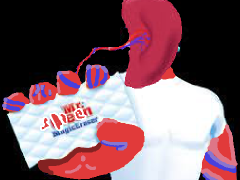 mr.spleen