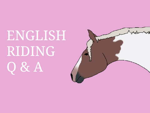 English Riding Q & A