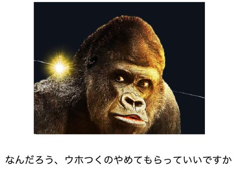 面白い画像集〔9〕100連発