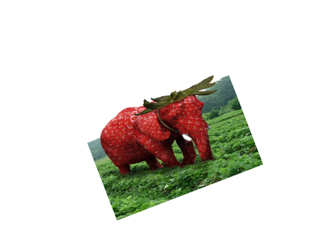 Strawberry Elephant