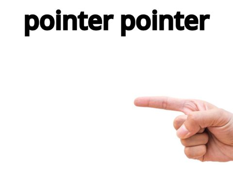 Pointer Pointer