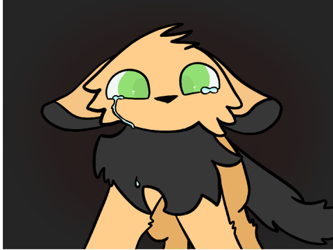 Pumpkin the little evil bean