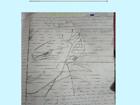 vEgEtA..