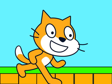 Spinning cat