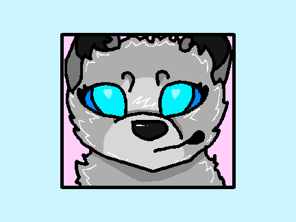 - Corgi For Sale -