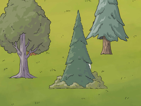 Hide and Seek