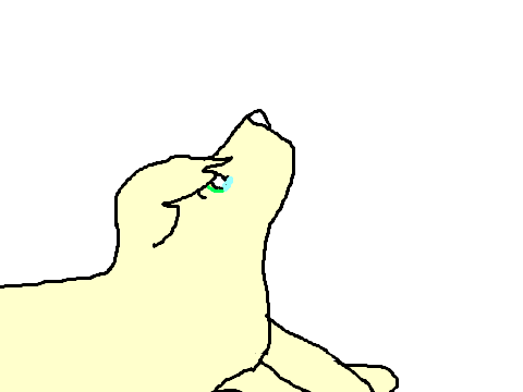 Untitled-41