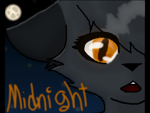 Warriors ~CCE~ *Midnight* 