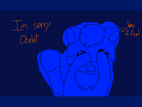 SORRY OCELOT