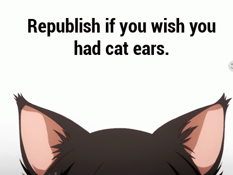 I wish I had cat ears !! remix