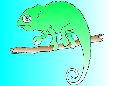 coloring contest! comelian