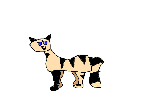 I did a little drawing....