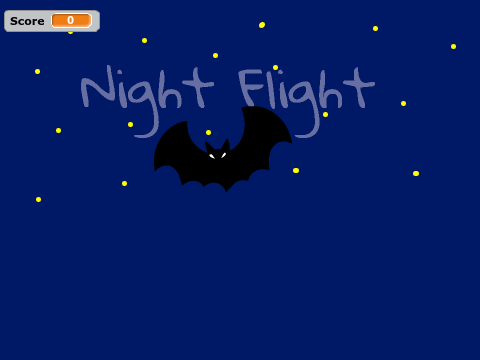 Night Flight