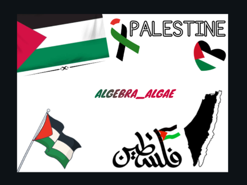 Remix if you support Palestine!!!!!!!!!!! remix