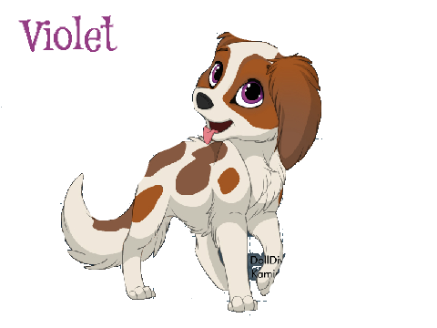 Animal Adoptables! copy remix