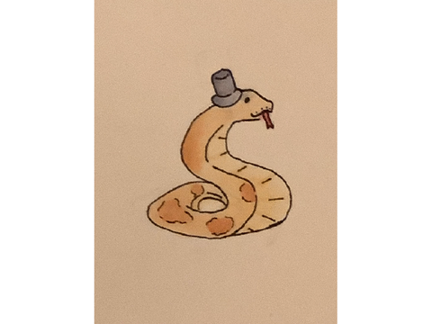 Mr Sir Snakey Snake
