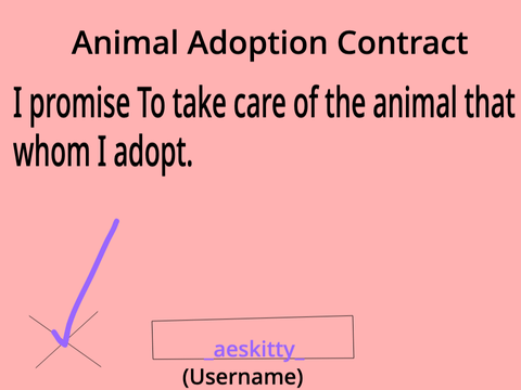 Animal Adoption / Work Form remix
