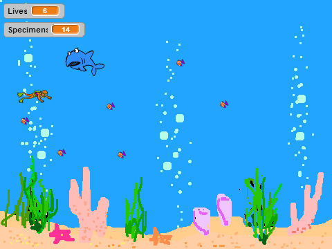 Diver