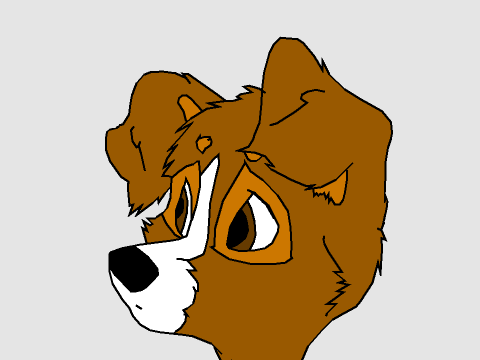 Cute Dog