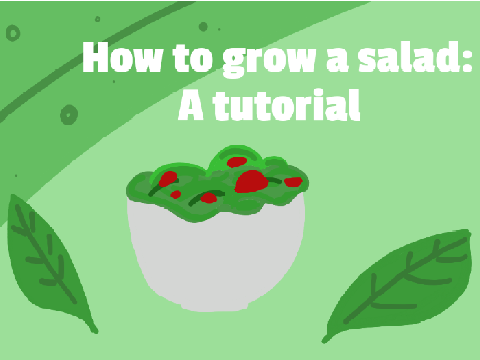 How to grow a salad: A tutorial :D