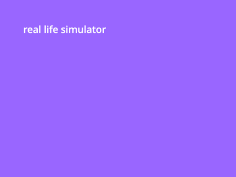 real life simulator