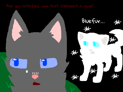 Are You Satisfied CC - Bluestar and Snowfur
