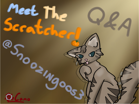 MEET THE SCRATCHER- @snoozingoos3 Q&A!!!
