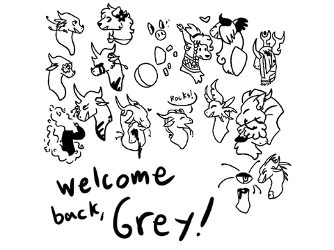 Welcome back Grey! 
