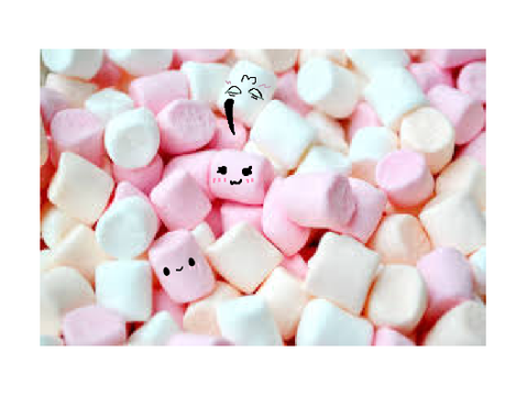 Add yourself as a Marshmallow :D remix remix