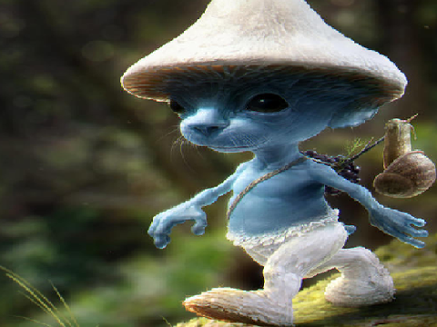 Smurf cat