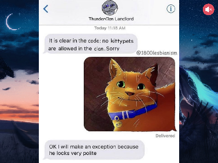 Warrior Cats Memes