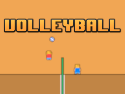 VOLLEYBALL