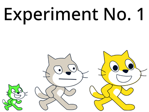 Experiment No. 1